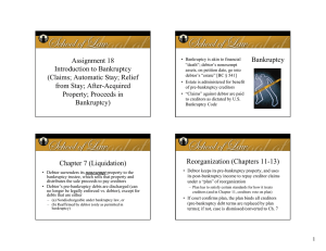 Bankruptcy Assignment 18 Introduction to Bankruptcy