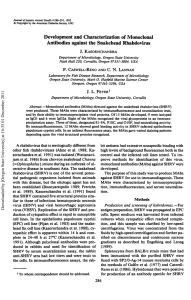 Development and Characterization of Monoclonal Antibodies against the Snakehead Rhabdovirus J. KASORNCHANDRA