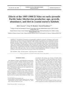 Effects of the 1997-1998 El Niño on early-juvenile Pacific hake Merluccius productus