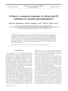 Is there a common response to ultraviolet-B radiation by marine phytoplankton? '