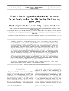 North Atlantic right whale habitat in the lower 1999–2001