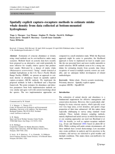 Spatially explicit capture–recapture methods to estimate minke