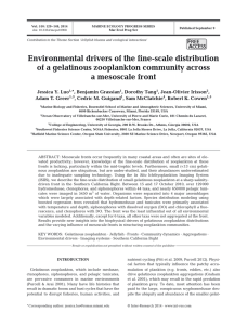Environmental drivers of the fine-scale distribution a mesoscale front
