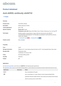 Anti-ASH2L antibody ab84732 Product datasheet 3 Images