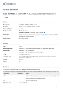 Anti-KDM4A / JHDM3A / JMJD2A antibody ab70785 Product datasheet 1 Image
