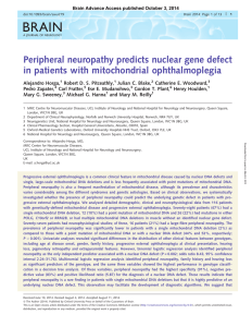BRAIN Peripheral neuropathy predicts nuclear gene defect in patients with mitochondrial ophthalmoplegia