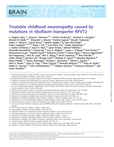 BRAIN Treatable childhood neuronopathy caused by mutations in riboflavin transporter RFVT2