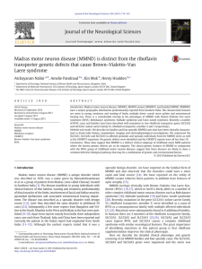 ﬂavin Madras motor neuron disease (MMND) is distinct from the ribo –Vialetto–Van