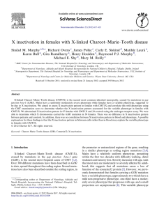 X inactivation in females with X-linked Charcot–Marie–Tooth disease