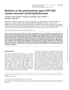 Mutation of the parkinsonism gene ATP13A2 causes neuronal ceroid-lipofuscinosis Jose Bras
