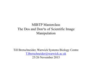 MIBTP Masterclass The Dos and Don¹ts of Scientific Image Manipulation