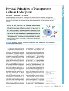 Physical Principles of Nanoparticle Cellular Endocytosis