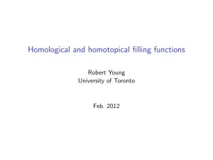 Homological and homotopical filling functions Robert Young University of Toronto Feb. 2012