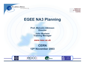 EGEE NA3 Planning CERN 13 November 2003