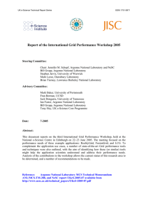 Report of the International Grid Performance Workshop 2005