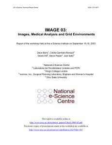 IMAGE 03:  Images, Medical Analysis and Grid Environments