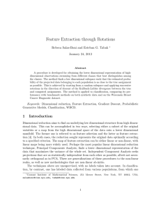 Feature Extraction through Rotations Rebeca Salas-Boni and Esteban G. Tabak