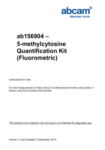 ab156904 – 5-methylcytosine Quantification Kit (Fluorometric)