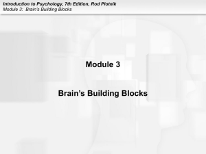 Module 3 Brain’s Building Blocks Introduction to Psychology, 7th Edition, Rod Plotnik