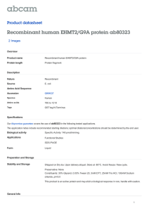 Recombinant human EHMT2/G9A protein ab80323 Product datasheet 2 Images Overview