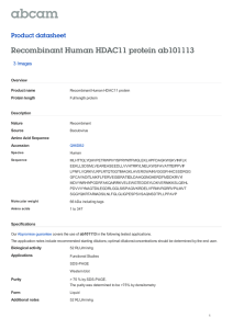 Recombinant Human HDAC11 protein ab101113 Product datasheet 3 Images Overview