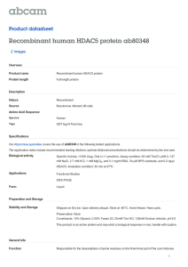 Recombinant human HDAC5 protein ab80348 Product datasheet 2 Images Overview