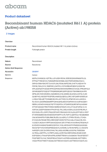Recombinant human HDAC6 (mutated H611 A) protein (Active) ab198058
