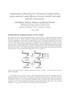 Supplementary Information For “Mechanical coupling between