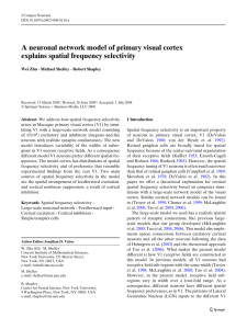 A neuronal network model of primary visual cortex Wei Zhu