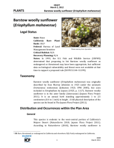 Barstow woolly sunflower Eriophyllum mohavense PLANTS Legal Status