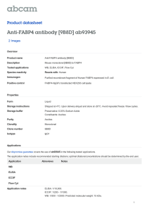Anti-FABP4 antibody [9B8D] ab93945 Product datasheet 2 Images Overview