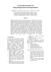 A Grid Infrastructure for Image Registration and Segmentation