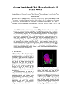Science Simulation of Clinic Electrophysiology in 3D e Human Atrium