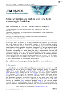 Shape dynamics and scaling laws for a body Jinzi Mac Huang