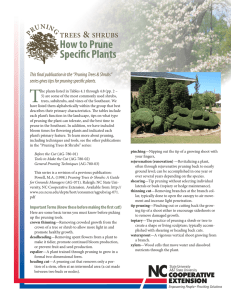 How to Prune Specific Plants  &amp;