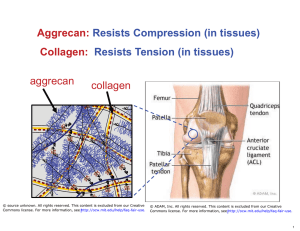Aggrecan: Collagen: Resists Compression (in tissues) Resists Tension (in tissues)