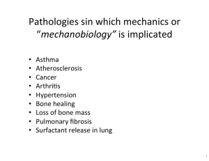 Pathologies sin which mechanics or mechanobiologyN