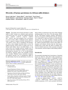 Diversity of lactase persistence in African milk drinkers