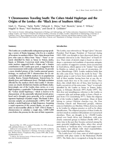 Y Chromosomes Traveling South: The Cohen Modal Haplotype and the