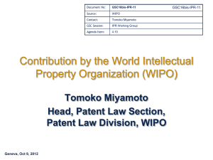 Contribution by the World Intellectual Property Organization (WIPO) Tomoko Miyamoto