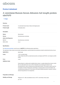 S. cerevisiae Human Serum Albumin full length protein ab67670 Product datasheet