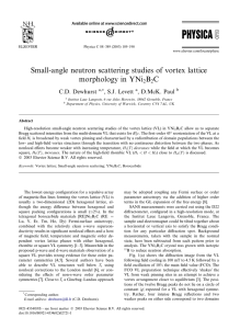 Small-angle neutron scattering studies of vortex lattice morphology in YNi B C