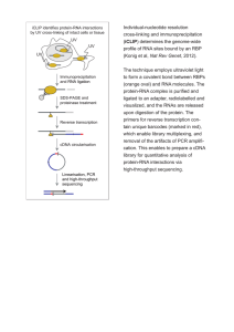 Individual-nucleotide resolution cross-linking and immunoprecipitation (