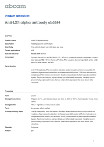 Anti-LXR alpha antibody ab3584 Product datasheet Overview Product name