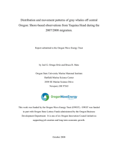 Distribution and movement patterns of gray whales off central