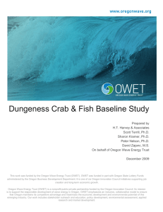 Dungeness Crab &amp; Fish Baseline Study
