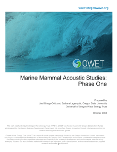 Marine Mammal Acoustic Studies: Phase One