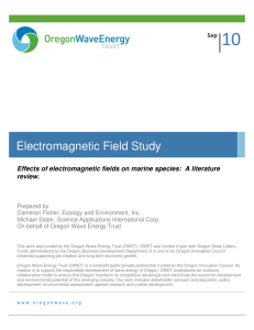 10  Electromagnetic Field Study