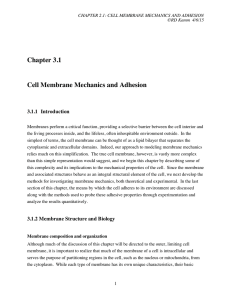 Chapter 3.1 Cell Membrane Mechanics and Adhesion 3.1.1 Introduction