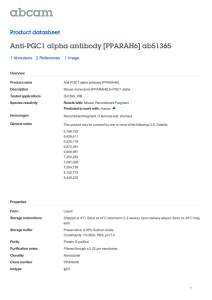 Anti-PGC1 alpha antibody [PPARAH6] ab51365 Product datasheet 1 Abreviews 1 Image
